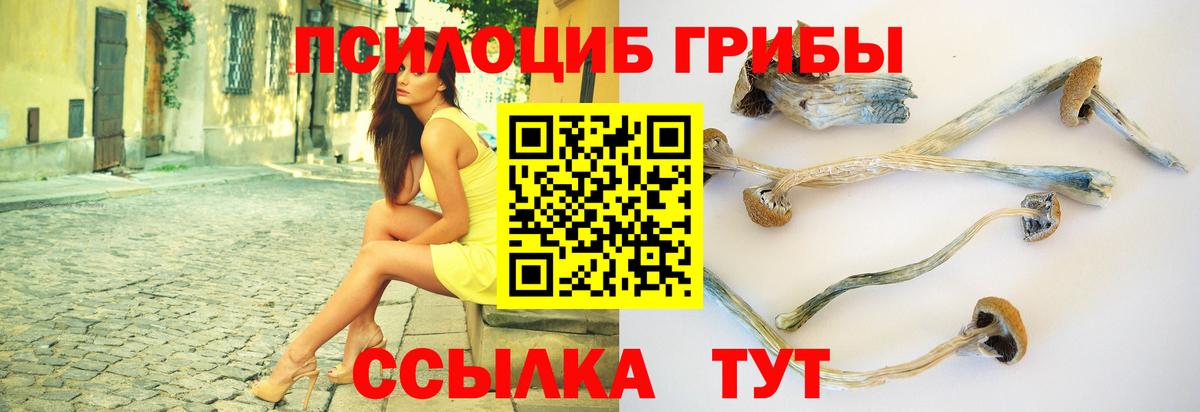 Галлюциногенные грибы ЛСД Балтийск
